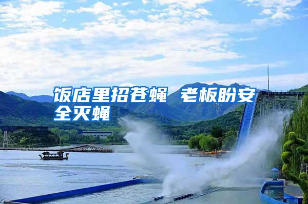 飯店里招蒼蠅 老板盼安全滅蠅