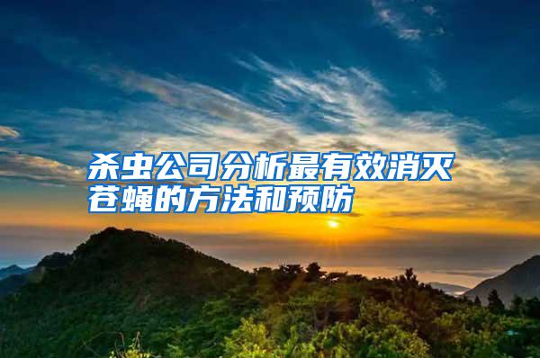 殺蟲公司分析最有效消滅蒼蠅的方法和預(yù)防