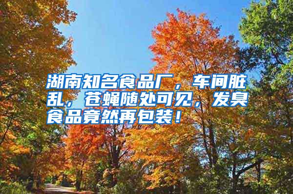 湖南知名食品廠,車間臟亂,蒼蠅隨處可見,發臭食品竟然再包裝!