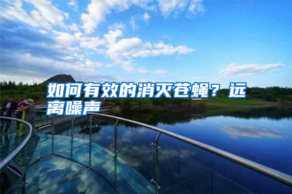 如何有效的消滅蒼蠅？遠離噪聲