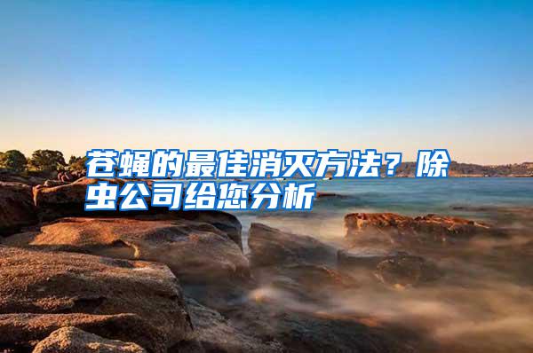 蒼蠅的最佳消滅方法？除蟲公司給您分析