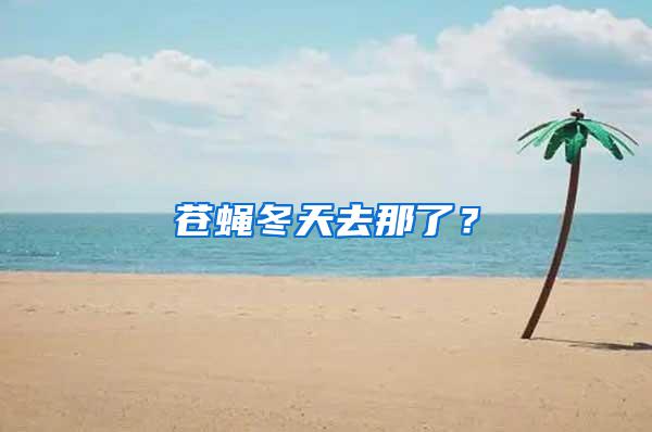 蒼蠅冬天去那了?