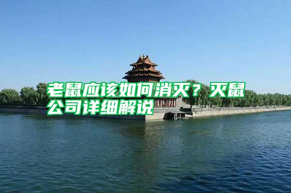 老鼠應(yīng)該如何消滅?滅鼠公司詳細(xì)解說