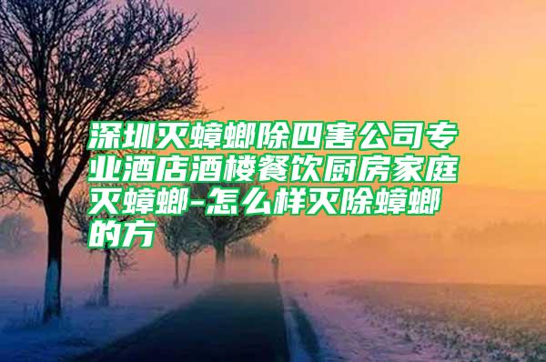 深圳滅蟑螂除四害公司專業(yè)酒店酒樓餐飲廚房家庭滅蟑螂-怎么樣滅除蟑螂的方
