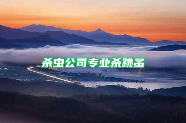 殺蟲公司專業殺跳蚤