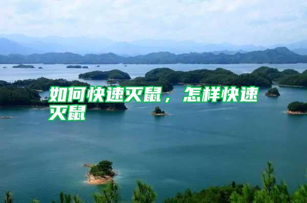 如何快速滅鼠,怎樣快速滅鼠