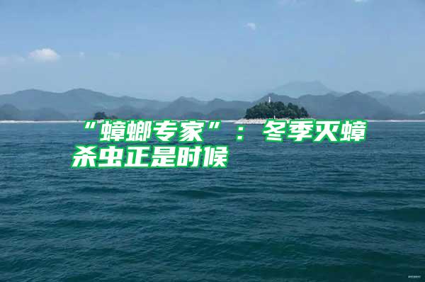 “蟑螂專家”:冬季滅蟑殺蟲正是時候