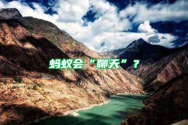 螞蟻會“聊天”？