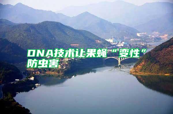 DNA技術(shù)讓果蠅“變性”防蟲害