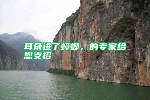 耳朵進(jìn)了蟑螂，的專家給您支招