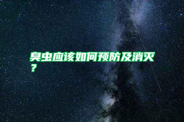 臭蟲應該如何預防及消滅?