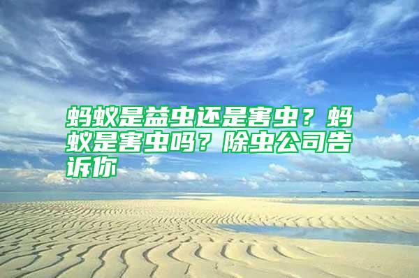 螞蟻是益蟲還是害蟲？螞蟻是害蟲嗎？除蟲公司告訴你