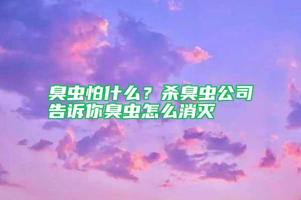 臭蟲怕什么?殺臭蟲公司告訴你臭蟲怎么消滅