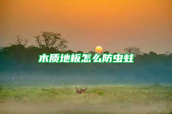 木質(zhì)地板怎么防蟲蛀