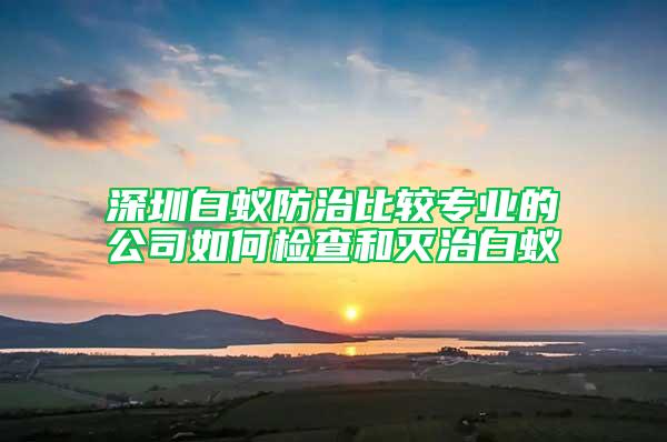 深圳白蟻防治比較專業的公司如何檢查和滅治白蟻