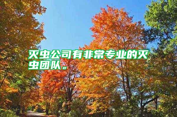 滅蟲公司有非常專業(yè)的滅蟲團隊。