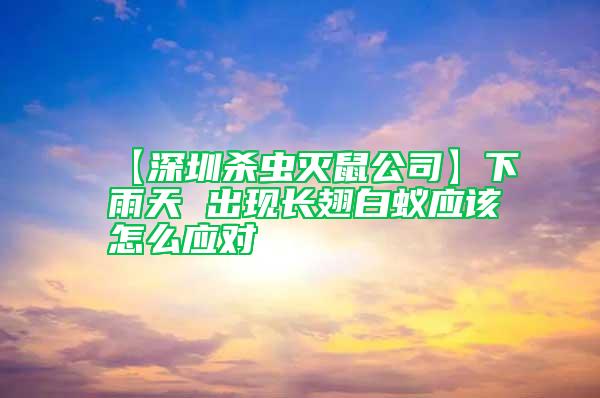 【深圳殺蟲滅鼠公司】下雨天 出現(xiàn)長翅白蟻應該怎么應對