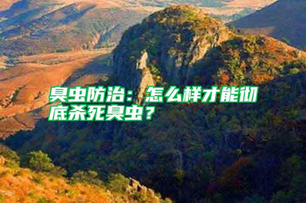 臭蟲防治：怎么樣才能徹底殺死臭蟲？