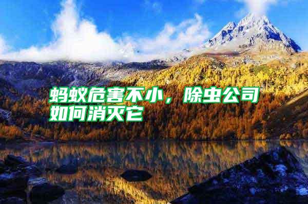 螞蟻危害不小，除蟲公司如何消滅它