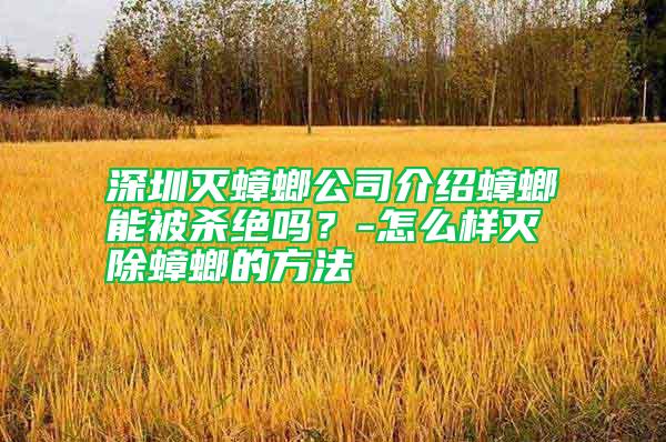 深圳滅蟑螂公司介紹蟑螂能被殺絕嗎？-怎么樣滅除蟑螂的方法