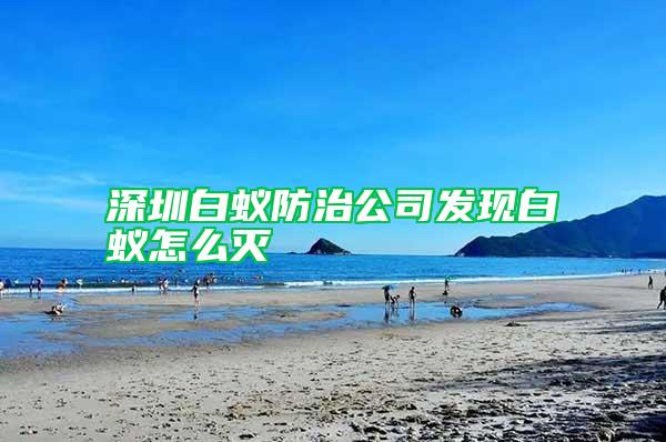 深圳白蟻防治公司發現白蟻怎么滅