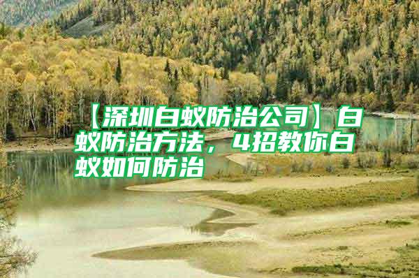 【深圳白蟻防治公司】白蟻防治方法,4招教你白蟻如何防治