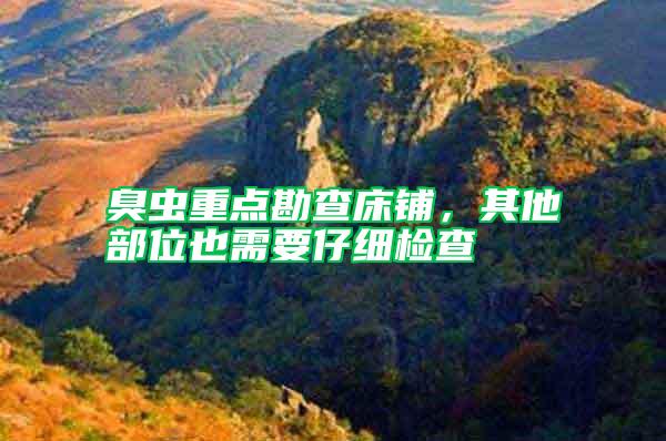 臭蟲重點(diǎn)勘查床鋪,其他部位也需要仔細(xì)檢查