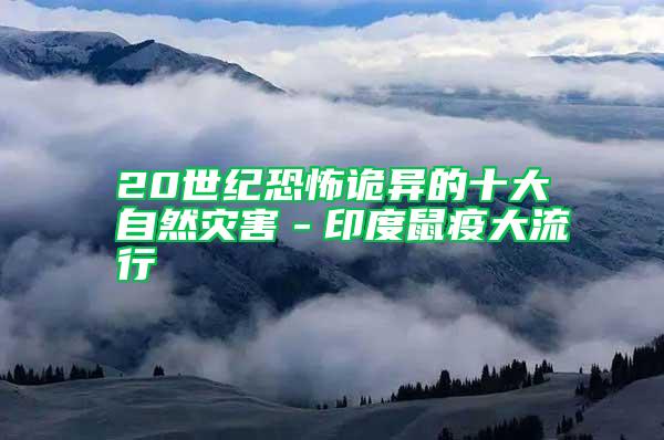 20世紀恐怖詭異的十大自然災害-印度鼠疫大流行