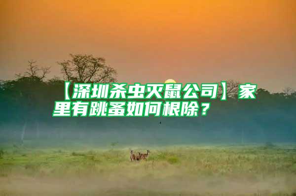 【深圳殺蟲滅鼠公司】家里有跳蚤如何根除?