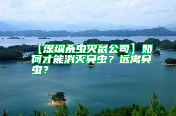 【深圳殺蟲滅鼠公司】如何才能消滅臭蟲?遠(yuǎn)離臭蟲?