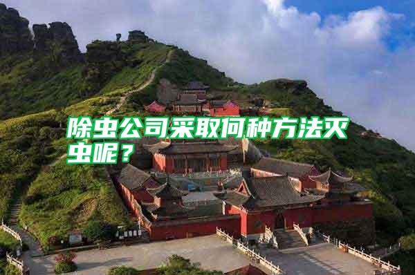 除蟲公司采取何種方法滅蟲呢？