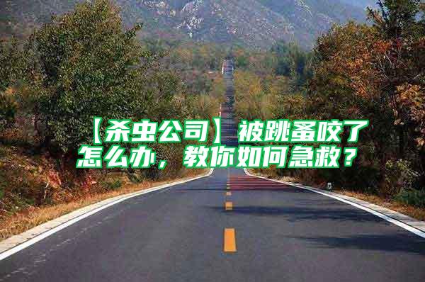 【殺蟲公司】被跳蚤咬了怎么辦,教你如何急救?