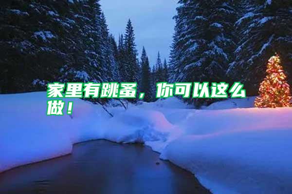 家里有跳蚤,你可以這么做!