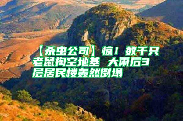 【殺蟲公司】驚!數千只老鼠掏空地基 大雨后3層居民樓轟然倒塌