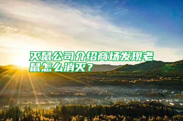 滅鼠公司介紹商場發現老鼠怎么消滅？