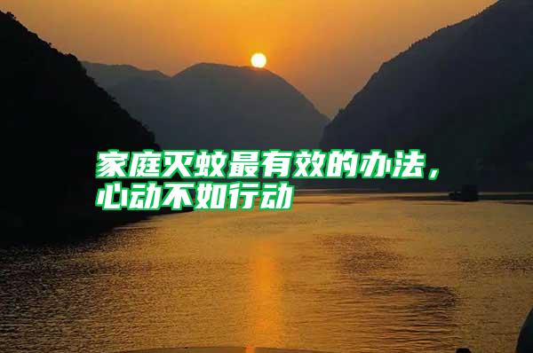 家庭滅蚊最有效的辦法,心動不如行動