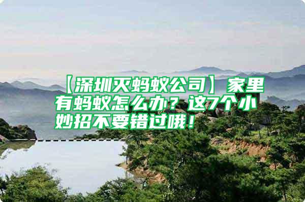 【深圳滅螞蟻公司】家里有螞蟻怎么辦?這7個小妙招不要錯過哦!