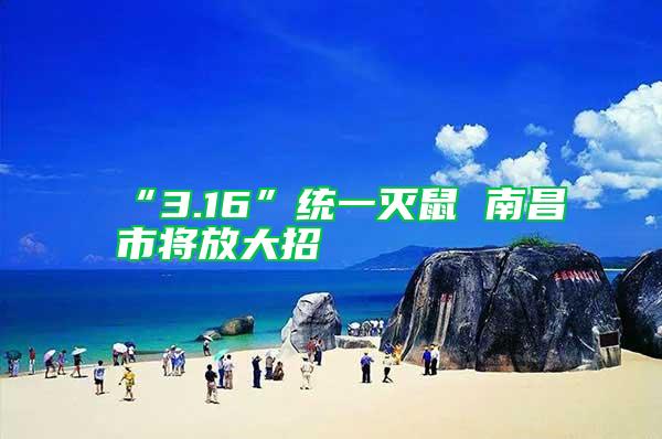 “3.16”統一滅鼠 南昌市將放大招