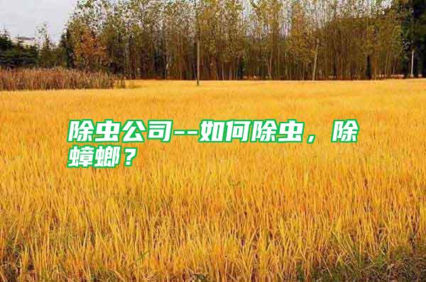 除蟲公司--如何除蟲,除蟑螂?