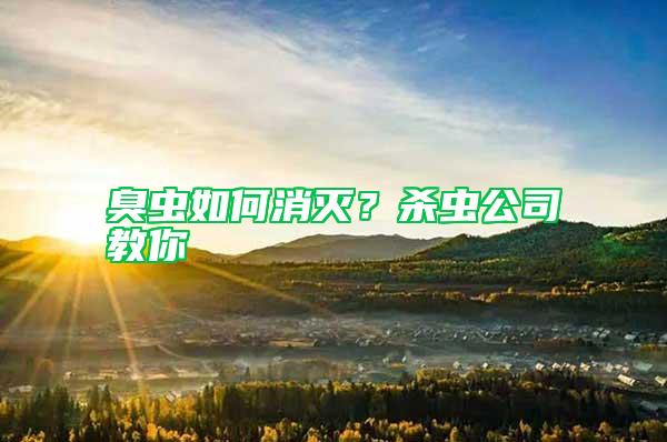 臭蟲(chóng)如何消滅？殺蟲(chóng)公司教你