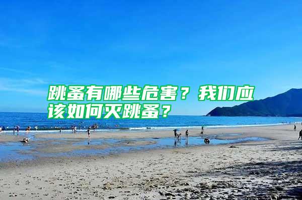 跳蚤有哪些危害?我們應(yīng)該如何滅跳蚤?