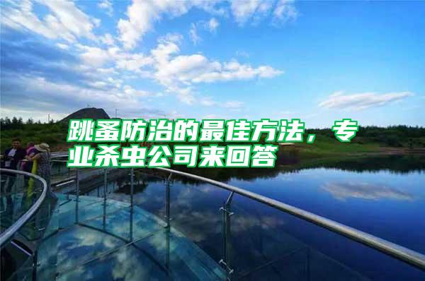 跳蚤防治的最佳方法,專業(yè)殺蟲公司來回答