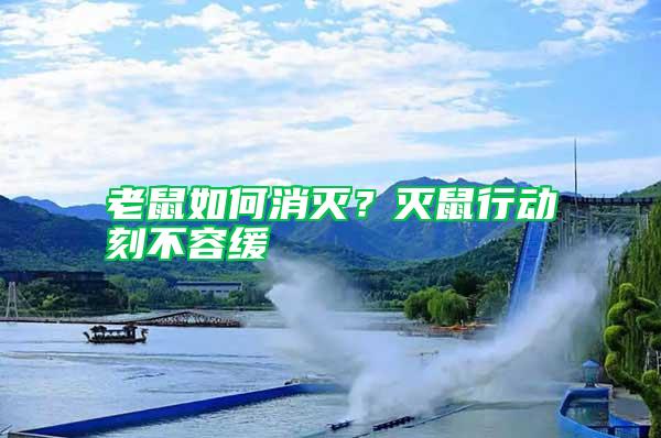 老鼠如何消滅?滅鼠行動刻不容緩