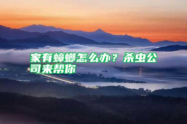 家有蟑螂怎么辦?殺蟲公司來幫你