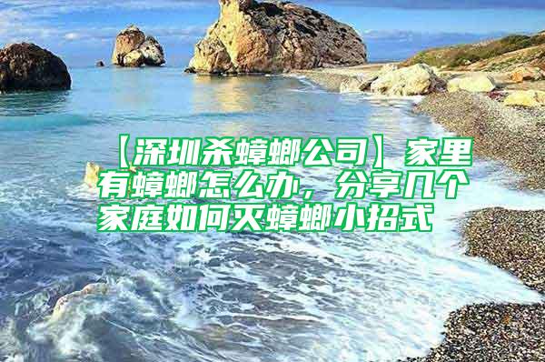【深圳殺蟑螂公司】家里有蟑螂怎么辦,分享幾個(gè)家庭如何滅蟑螂小招式