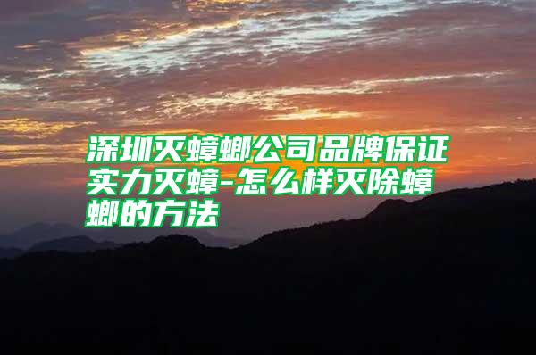 深圳滅蟑螂公司品牌保證實力滅蟑-怎么樣滅除蟑螂的方法