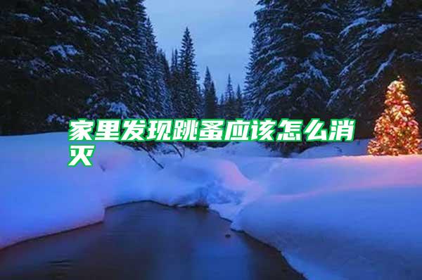 家里發現跳蚤應該怎么消滅