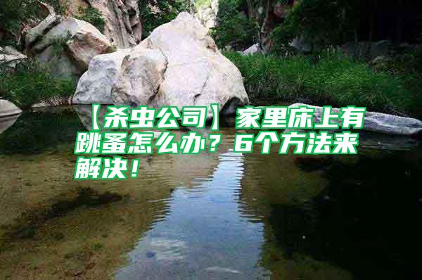 【殺蟲公司】家里床上有跳蚤怎么辦?6個(gè)方法來(lái)解決!