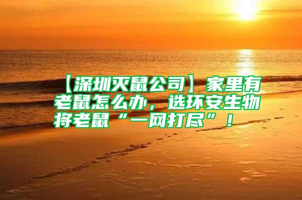 【深圳滅鼠公司】家里有老鼠怎么辦，選環(huán)安生物將老鼠“一網(wǎng)打盡”！