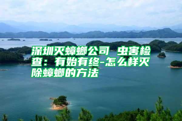 深圳滅蟑螂公司 蟲(chóng)害檢查:有始有終-怎么樣滅除蟑螂的方法